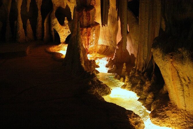 Hop on Hop off - Tamborine Rainforest Skywalk + Glow Worm Caves - The Rainforest Skywalk is the day’s most rewarding stop