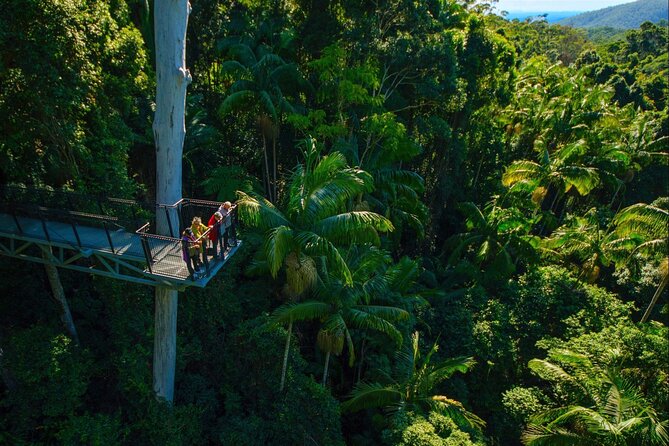 Hop on Hop off - Tamborine Rainforest Skywalk + Glow Worm Caves - The Glow Worm Caves offer a short, managed experience