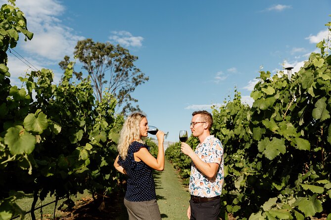 Hop on Hop off Wine tasting tour to Tamborine Mountain - Is $118.35 good value?