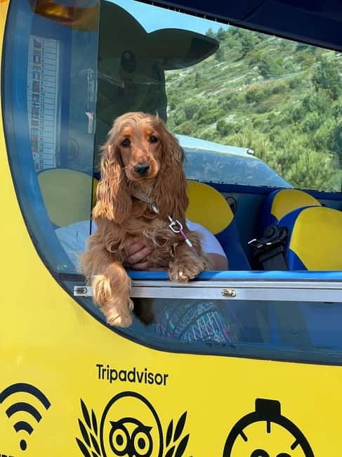 Hop-On Hop-Off Yellow Cabrio Tour: See Dubrovnik in 90mins - Booking details worth knowing