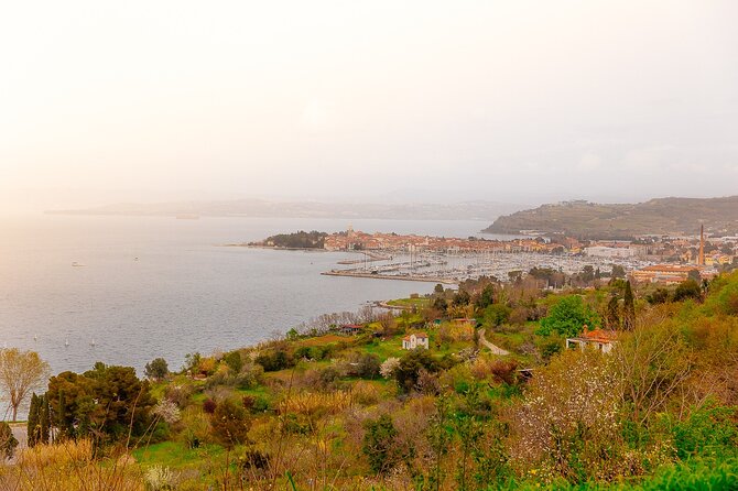 Hop & Taste Slovenian Riviera Hop-On Hop-Off & Local Bites - A coastal sampler from Koper in three and a half hours