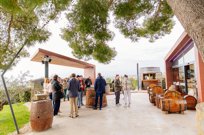 Hop & Taste Slovenian Riviera Hop-On Hop-Off & Local Bites - How to make the most of the afternoon