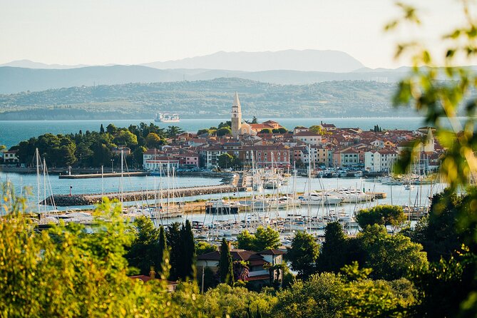 Hop & Taste Slovenian Riviera Hop-On Hop-Off & Local Bites - Wine Village Marezige and the countryside