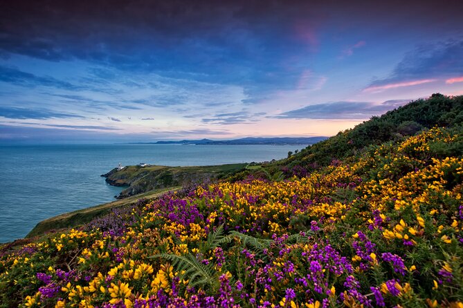 Howth Coastal Half-Day Bus Tour from Dublin with Live Guide - Why Howth makes a smart half-day from Dublin
