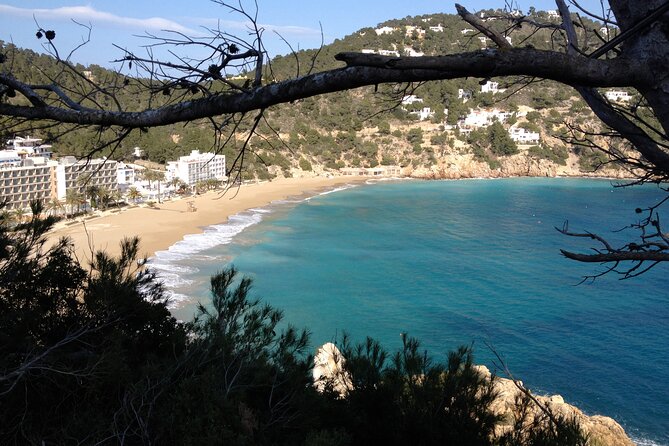 Ibiza Tour Island Bus Tour with Hippie Market Visit - Sant Josep shows Ibiza beyond the coast
