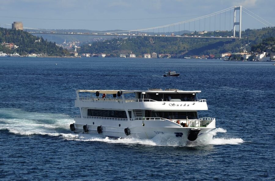Istanbul: Bosphorus Cruise and Golden Horn Bus Tour - Why this tour works as an Istanbul introduction