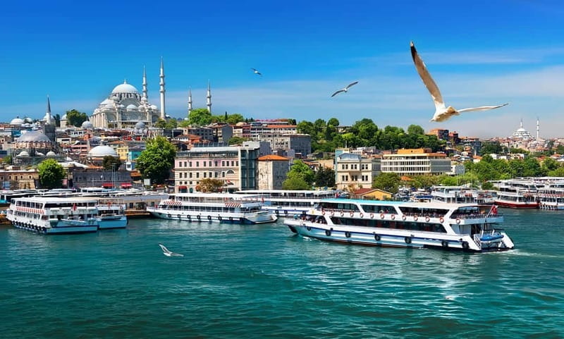 Istanbul: Guided Bosphorus Cruise & Golden Horn Bus Tour - A useful way to see Istanbul in half a day