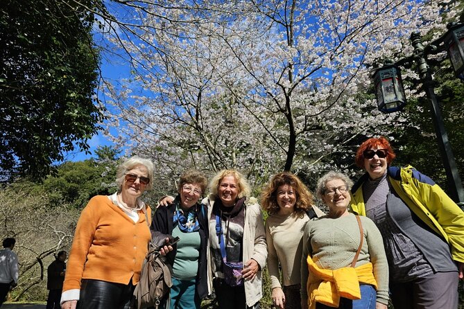 Jeju bus tour with professional English guide for cruise customer - Should you book this Jeju shore excursion?