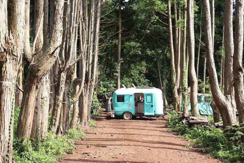 Jeju: East of Jeju Island Bus Tour from Seogwipo City - Food, breaks, and the rhythm of the day