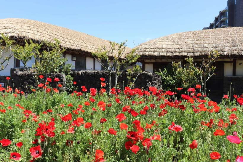 Jeju: East of Jeju Island Bus Tour from Seogwipo City - The Haenyeo Museum and a culture worth understanding