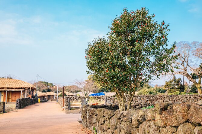 Jeju Eastern Must visit Unesco Bus Tour - Seongeup Folk Village and old Jeju traditions