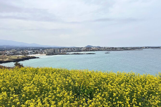 Jeju Eastern Must visit Unesco Bus Tour - Who should book this Jeju tour?