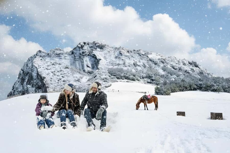 Jeju Island: Full-Day East Jeju Bus Tour with Entry Fees - Why this East Jeju tour works well