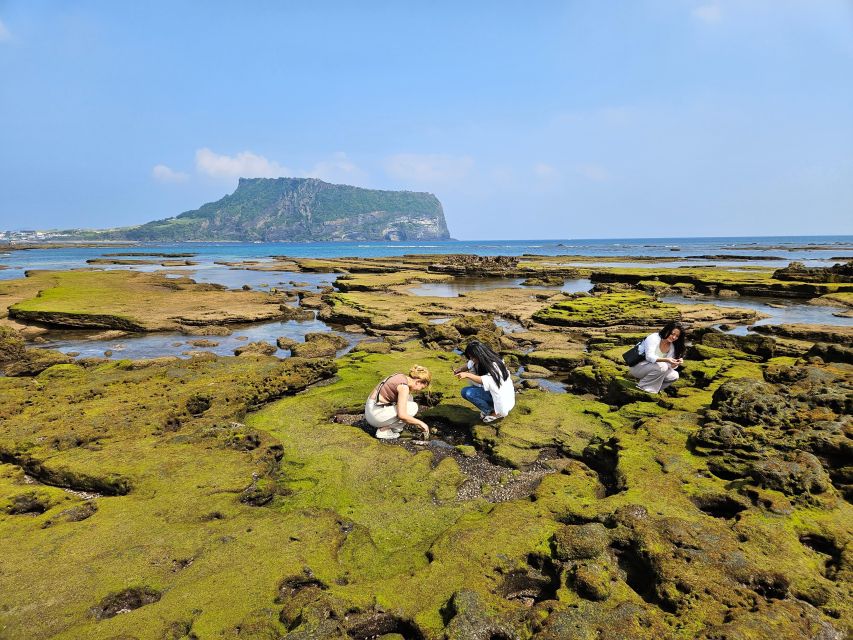 Jeju Island: Full-Day East Jeju Bus Tour with Entry Fees - Climbing Seongsan Ilchulbong
