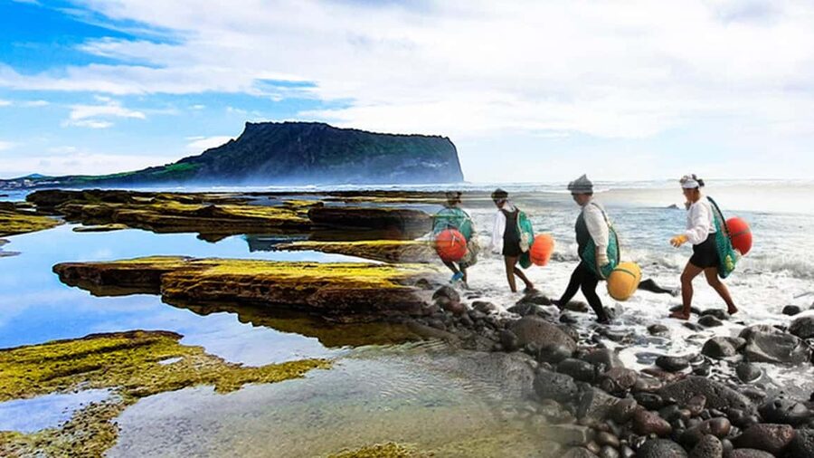Jeju Island: Full-Day East Jeju Bus Tour with Entry Fees - Hamdeok Beach as the final stop