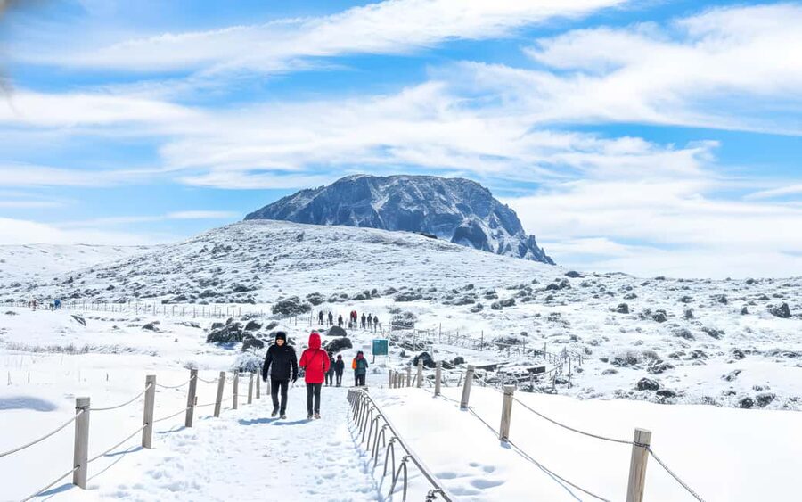 Jeju Island: Full-Day SouthWest Bus Tour with Entry Fees - Key points at a glance