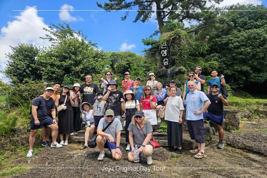 Jeju Island: Full-Day SouthWest Bus Tour with Entry Fees - Lunch, transport, and the true cost