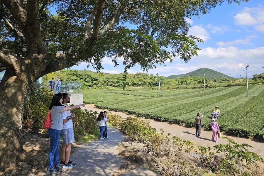 Jeju Island: Full-Day SouthWest Bus Tour with Entry Fees - A full day of southwest Jeju scenery
