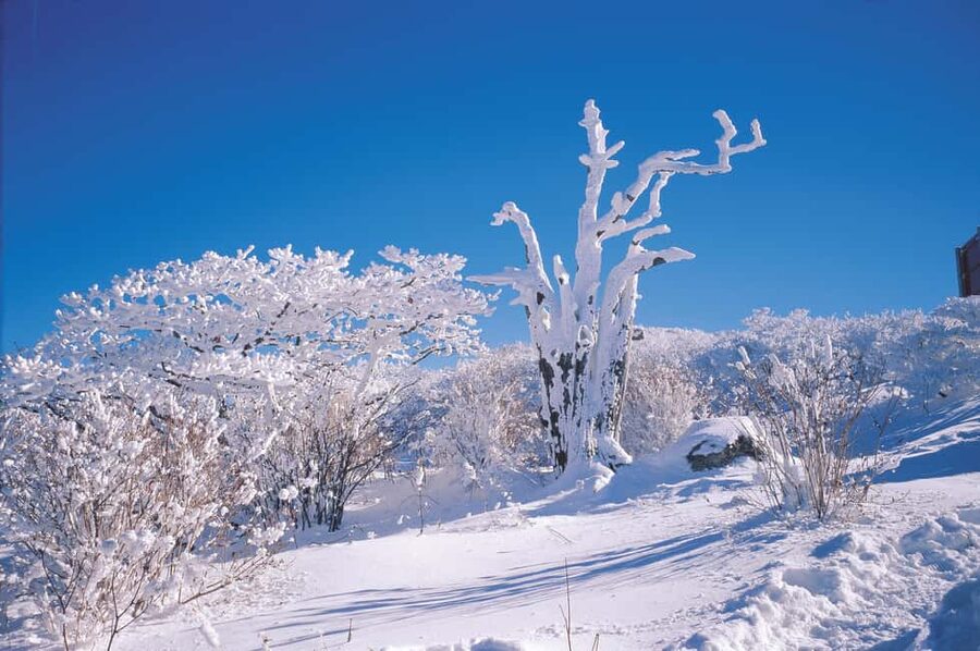 Jeju Island: Full-Day SouthWest Bus Tour with Entry Fees - Cheonjeyeon Falls, the Pond of the Gods