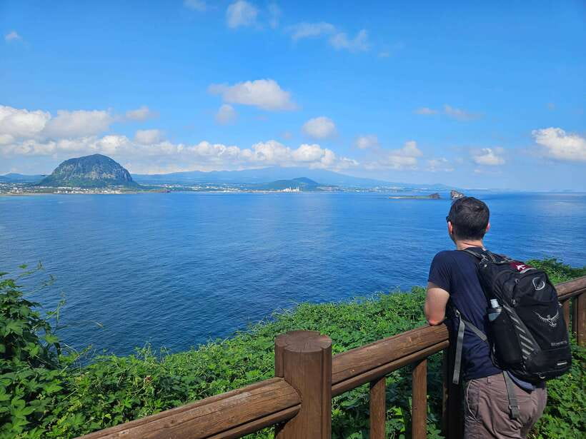 Jeju Island: Full-Day SouthWest Bus Tour with Entry Fees - Jusangjeolli Cliff and its hexagonal stone columns