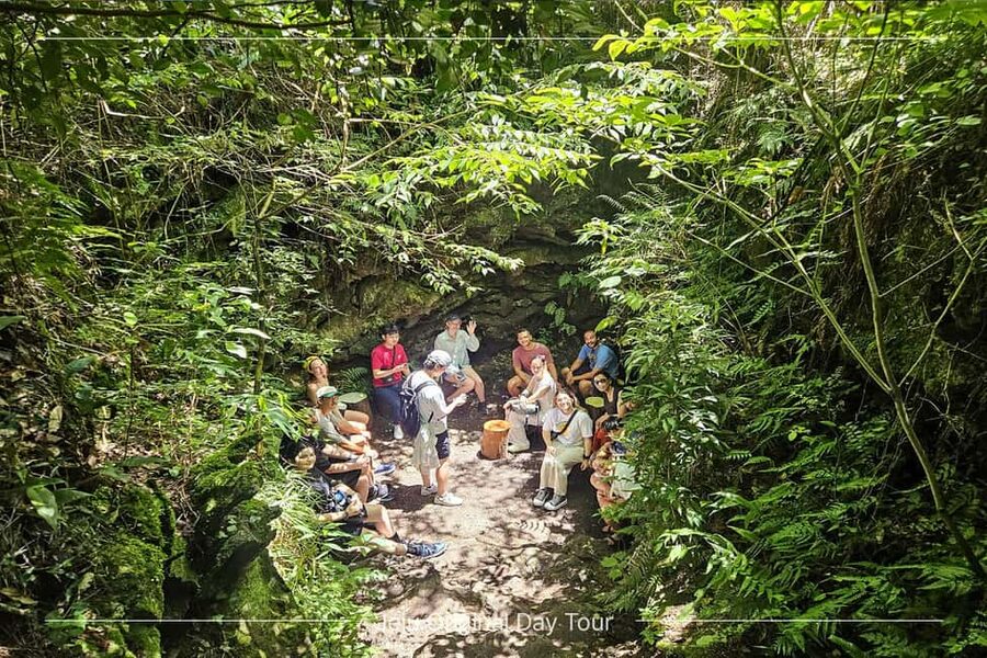 Jeju Island: Full-Day SouthWest Bus Tour with Entry Fees - O’sulloc, tea fields, and an easy break