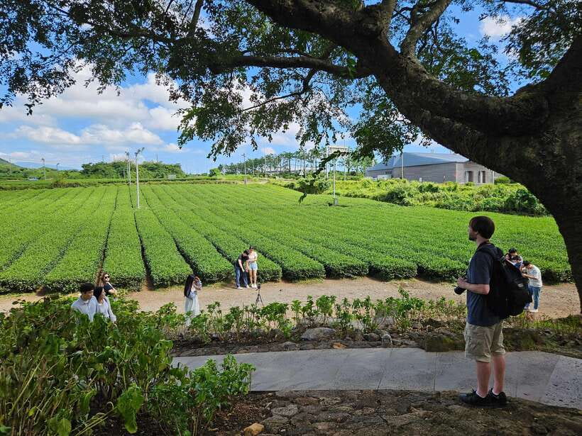 Jeju Island: Full-Day SouthWest Bus Tour with Entry Fees - Bomunsa Temple beneath Sanbangsan