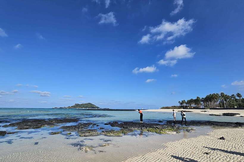 Jeju Island: Full-Day SouthWest Bus Tour with Entry Fees - What the guides add to the day