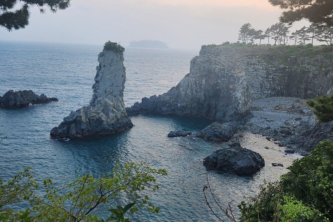 Jeju island Southern Unesco Mt.halla ONE day Bus Tour - O’sulloc Tea Museum and the green fields