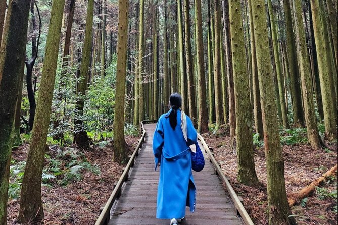 Jeju Island UNESCO Heritage Bus Tour - Who should book this Jeju tour