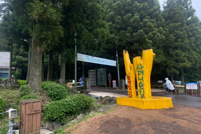 Jeju Island UNESCO Heritage Bus Tour - Should you book it?