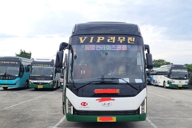 Jeju Island UNESCO small group Join tour(Taxi, van & bus) - Should you book it?