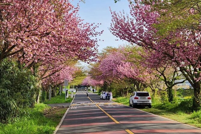 Jeju Island UNESCO small group Join tour(Taxi, van & bus) - FAQ