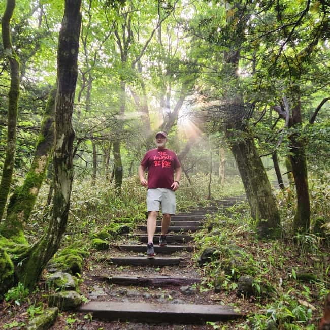 Jeju Southern: Mt.Hallasan and UNESCO Geopark Bus Tour - What the $51 price really includes