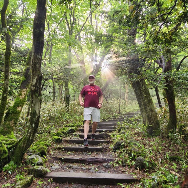 Jeju Southern: Mt.Hallasan and UNESCO Geopark Bus Tour - Lunch, timing, and the final stop