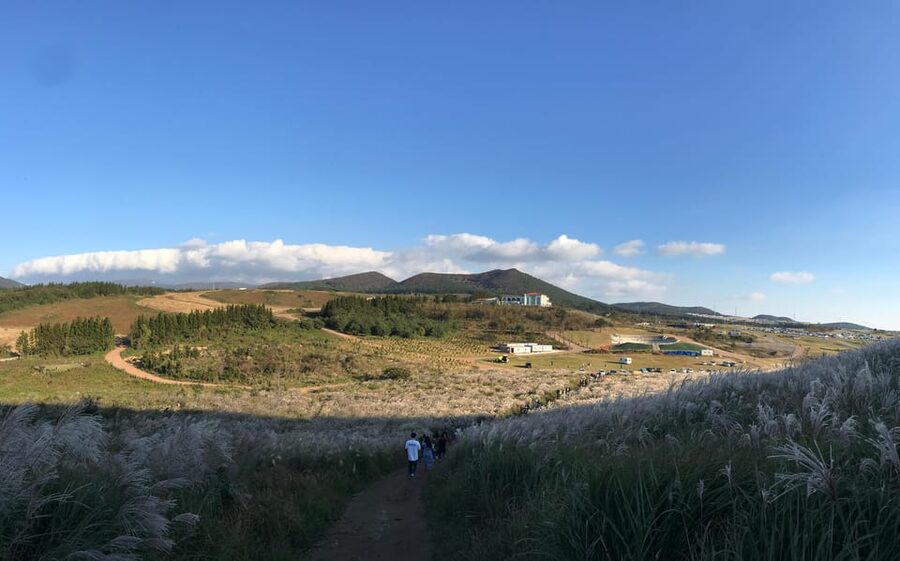 Jeju: West of Jeju Island Bus Tour from Seogwipo City - Sinchang Windmill Coastal Road