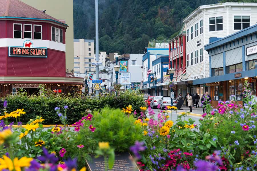 Juneau: City Highlights Bus Tour - Key points to know before you book