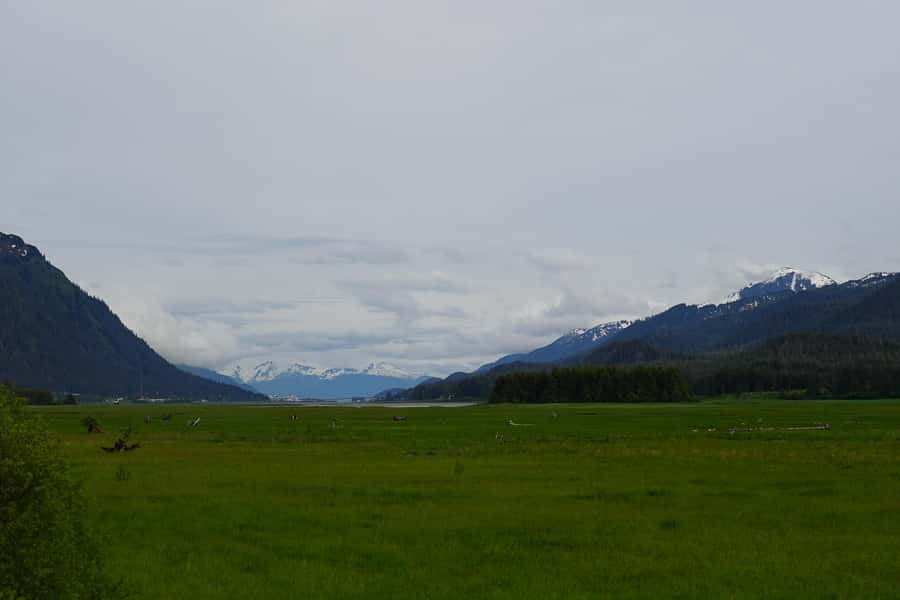 Juneau: City Highlights Bus Tour - Overstreet Park and Juneau’s breaching whale