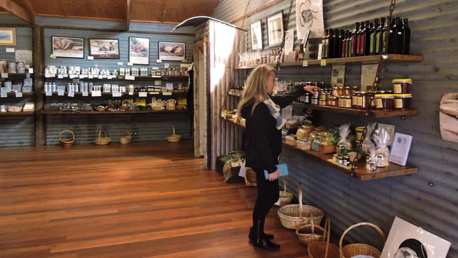 Kangaroo Island: Half-Day Tour Guided Coach Tour - Key points to know before booking