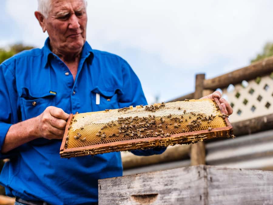 Kangaroo Island: Half-Day Tour Guided Coach Tour - Ligurian Bee Co brings the island to your taste buds