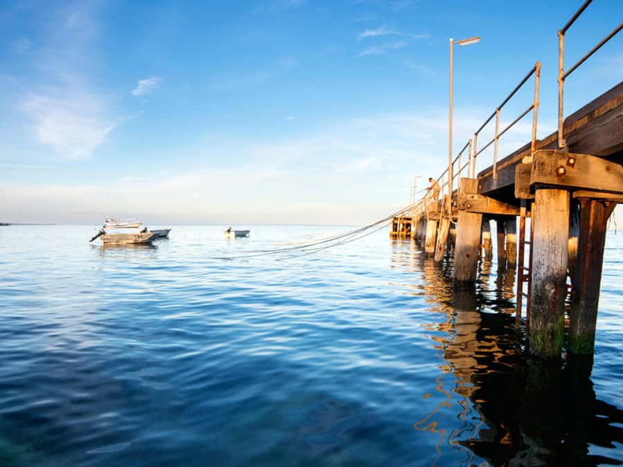 Kangaroo Island: Half-Day Tour Guided Coach Tour - Who should book this Penneshaw coach tour?