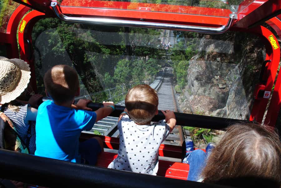 Katoomba: Lyrebird Hop-On Hop-Off and Scenic World Pass - Who should book the Lyrebird pass?