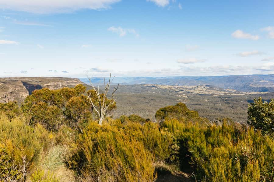 Katoomba: Lyrebird Hop-On Hop-Off and Scenic World Pass - Ride the route once before choosing your stops