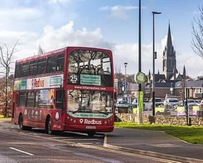 Killarney: Hop-On Hop-Off Bus to Killarney National Park - Key points to know before you go