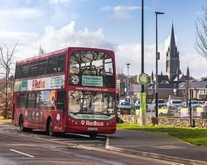 Killarney: Hop-On Hop-Off Bus to Killarney National Park - Torc Waterfall and the woodland paths