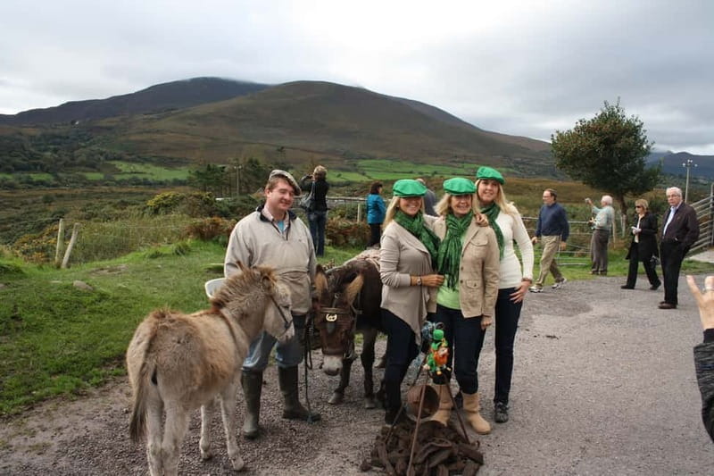 Killarney: Ring of Kerry Bus Tour - Kerry Bog Village: a short look at old rural life