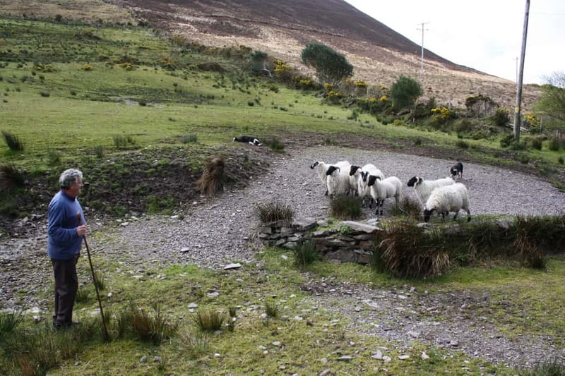 Killarney: Ring of Kerry Bus Tour - Glenbeigh, Rossbeigh Beach, and the Iveragh Peninsula