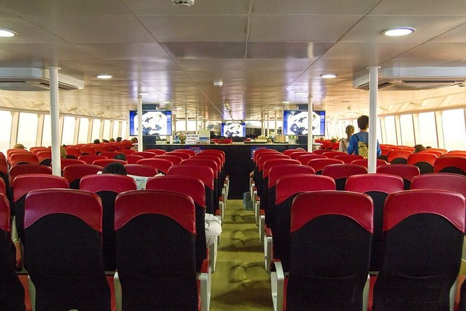 Krabi To Koh Tao(Tao Island) by Bus and Ferry - Where the service earns trust, and where it needs patience