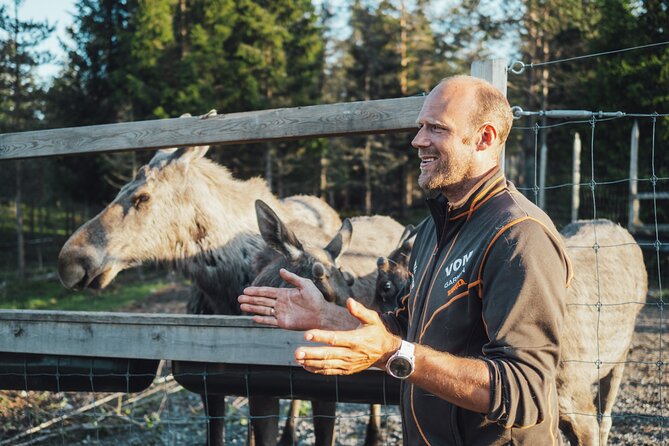 Kristiansand: Guided Bus Tour and Moose Park Experience - A 45-minute introduction before the animals