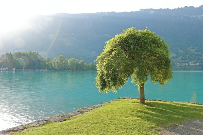(KTG361) - Interlaken day trip by bus from Geneva - What the coach ride adds
