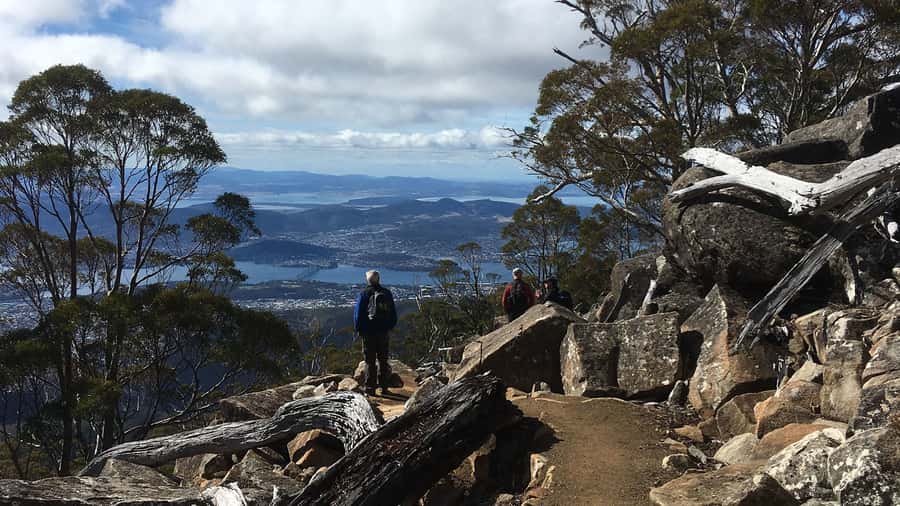 Kunanyi & Mt Wellington Explorer Bus: One-Way Bus Pass - Key points at a glance